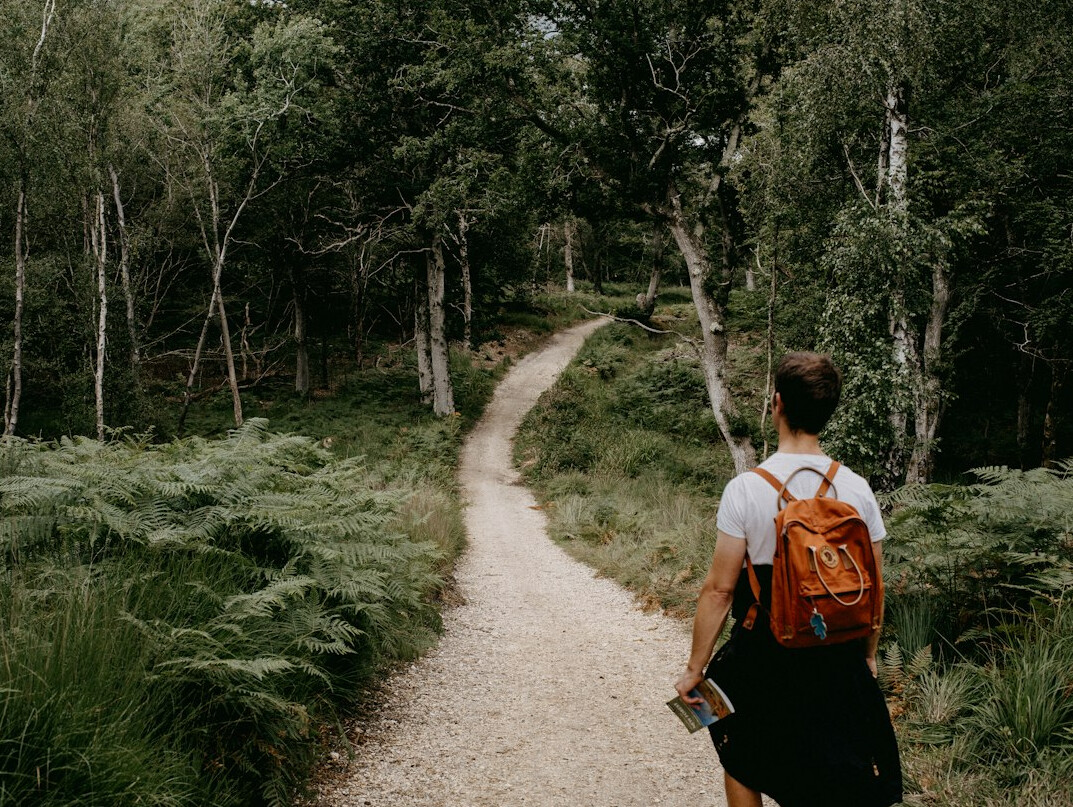 person walking on winding path in forest
